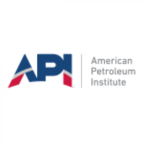 API Logo